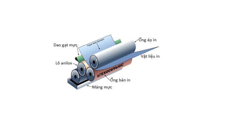 In Flexo cuộn truyền mực lên chất liệu in bằng chuyển động kết hợp của các trục quay trong máy in