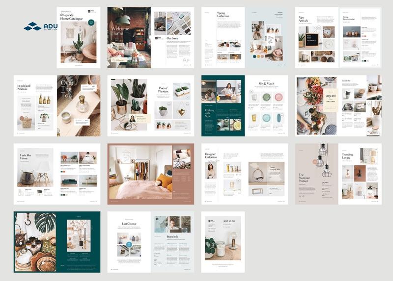 Hướng dẫn xây dựng bố cụ brochure phù hợp và chuyên nghiệp